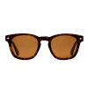 Otis Eyewear Summer Of 67 Eco Sunglasses (Havana/Brown/Polar)