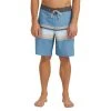 Quiksilver Surfsilk Sun Faded 19" Boardshort Mens