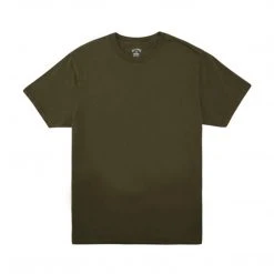 Billabong Mens Essential SS Wave Washed Tee (PS)