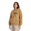 Brixton Womens Delight Pullover Hoodie