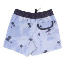 Alton Little Boy's(2-7) Palm Day Shorts