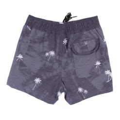 Alton Little Boy's(2-7) Palm Day Shorts