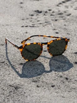 Raen Remmy Sunglasses In Huru/Green Polarized Mens