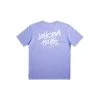 Stranger Things X Quiksilver Lenora S/S T-Shirt Mens