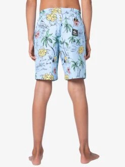 Peanuts X Quiksilver Boy's (8-16) Snoopy Shred 16