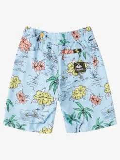 Peanuts X Quiksilver Boys(2-7) Snoopy Shred 14" Volleys