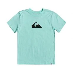 Quiksilver Boys (8-16) Comp Logo T-Shirt