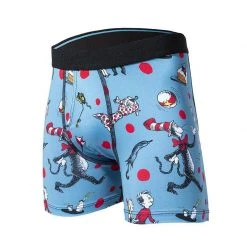 Stance Boys Cat In The Hat Underwear