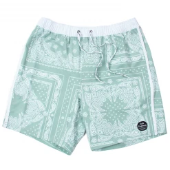 Jack's Surfboards Dana Volley Short Mens
