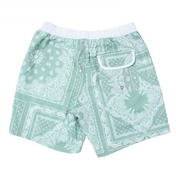Jack's Surfboards Dana Volley Short Mens