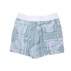 Jack's Surfboards Boy's Dana Volley Short (2-8) Kids
