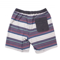 Jack's Surfboards Del Surf Volley Short Mens