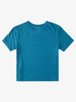 Quiksilver Organic Cropped S/S Tee