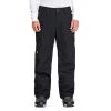 Quiksilver Mens Porter Insulated Snow Pants