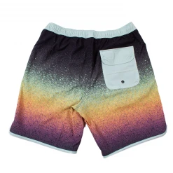 Jack's Surfboards Sprayed Volley Short Mens 9 Jack's Surfboards Sprayed Volley Short Mens
