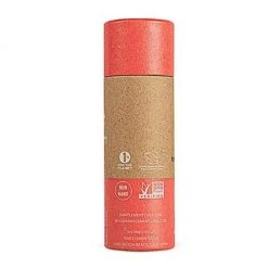 Raw Elements World Reef Day Stick SPF 30 Zero Waste Mens